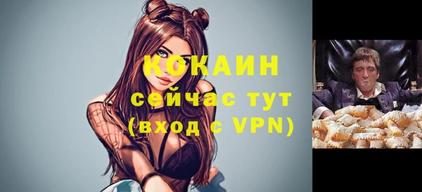 Альфа ПВП Богородск