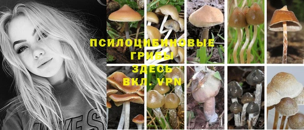 не бодяженный Богданович