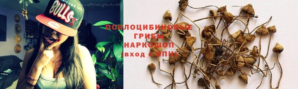 не бодяженный Богданович