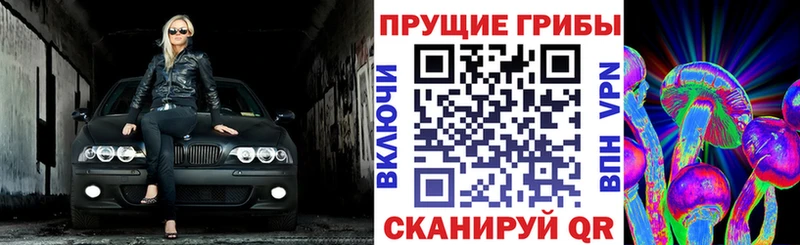 где найти   это как зайти  hydra как зайти  Галлюциногенные грибы Psilocybine cubensis  Оса 