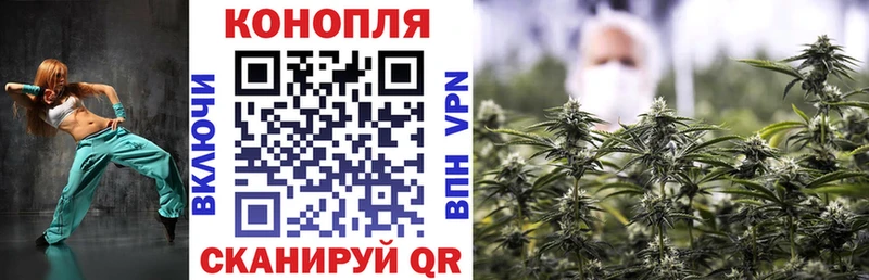 магазин    кракен tor  МАРИХУАНА Amnesia  Оса 